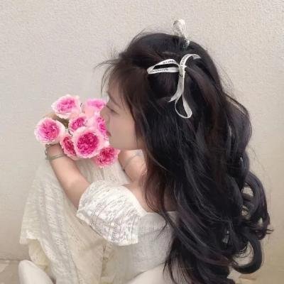 宝莲历险记